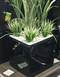 planters